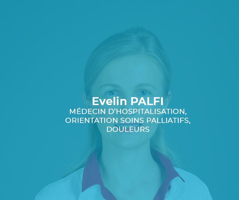 e_palfi copie